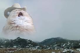 photoshopped image of a cat wearing a cowboy hat and screaming over some mountains